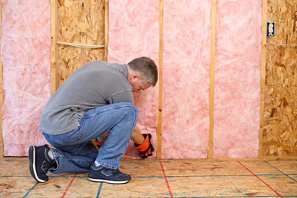 Best Insulation Removal  in El Verano, CA