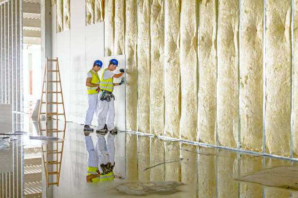 Best Attic Insulation Installation  in El Verano, CA